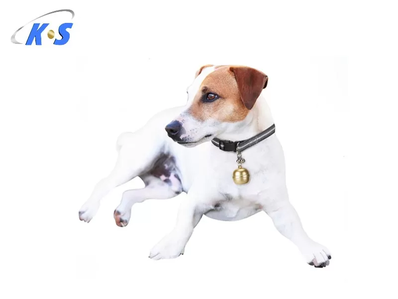 2G GPS Tracker for Dogs and Cats | Live Tracking | Anti-Lost | Safe Zone Alerts | Rechargeable