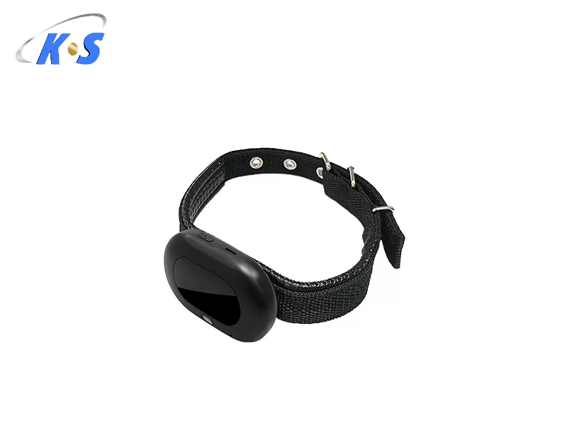 4G GPS Tracker for Dogs and Cats | Live Tracking | Anti-Lost | Safe Zone Alerts | Rechargeable